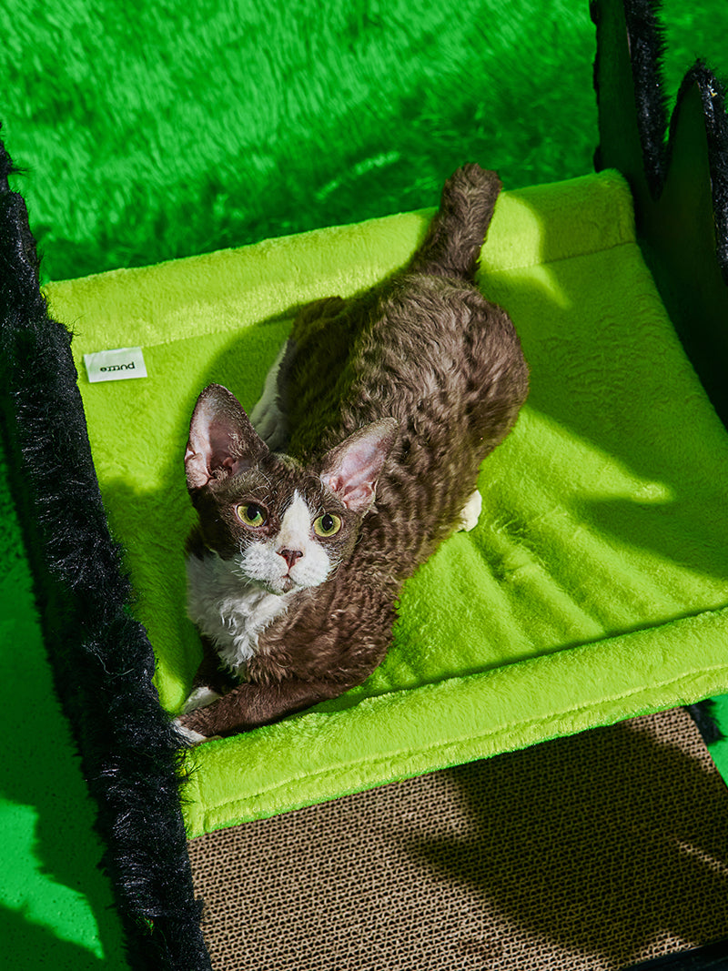 Boom Boom Cat Fluffy Night Haven - Purrre