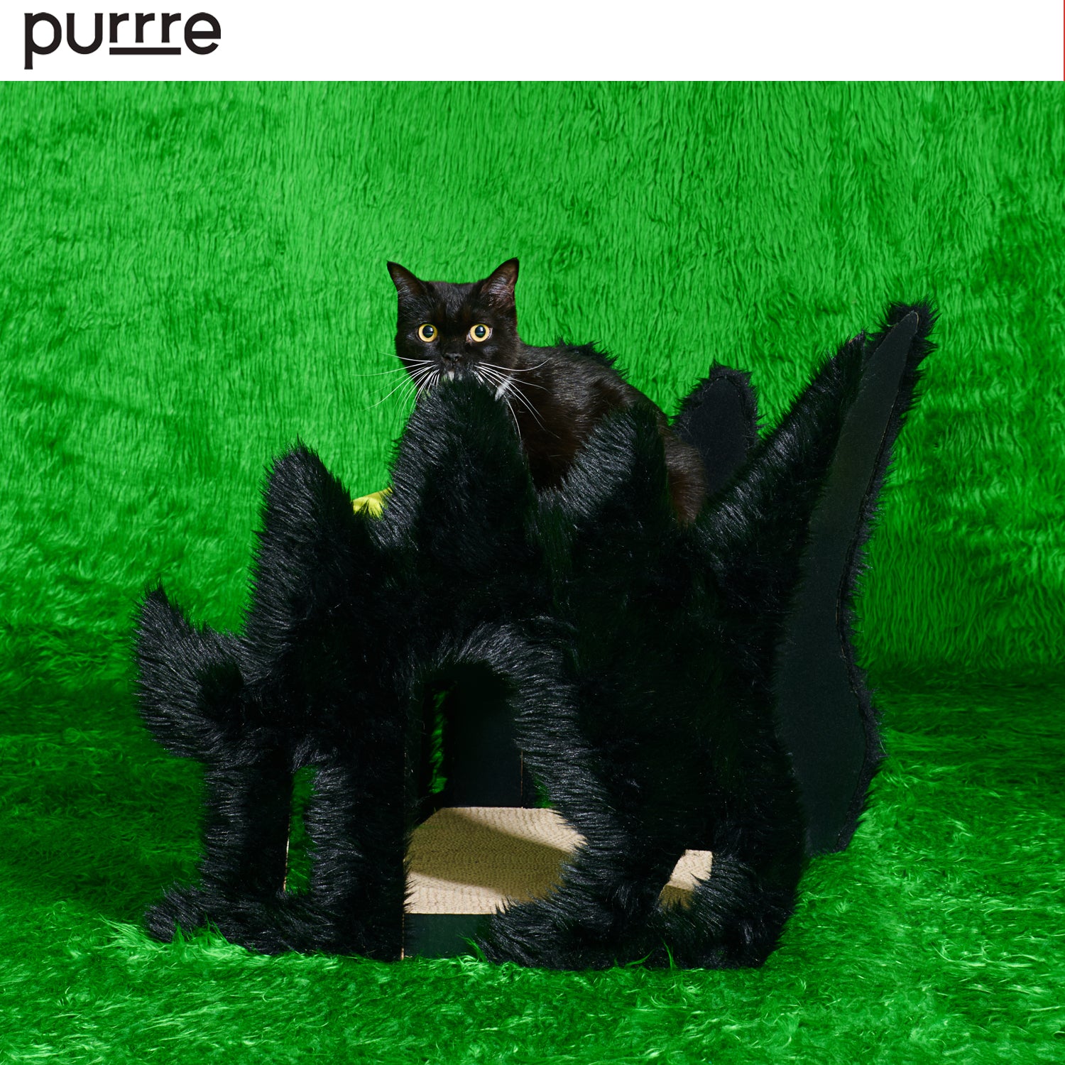 Boom Boom Cat Fluffy Night Haven - Purrre