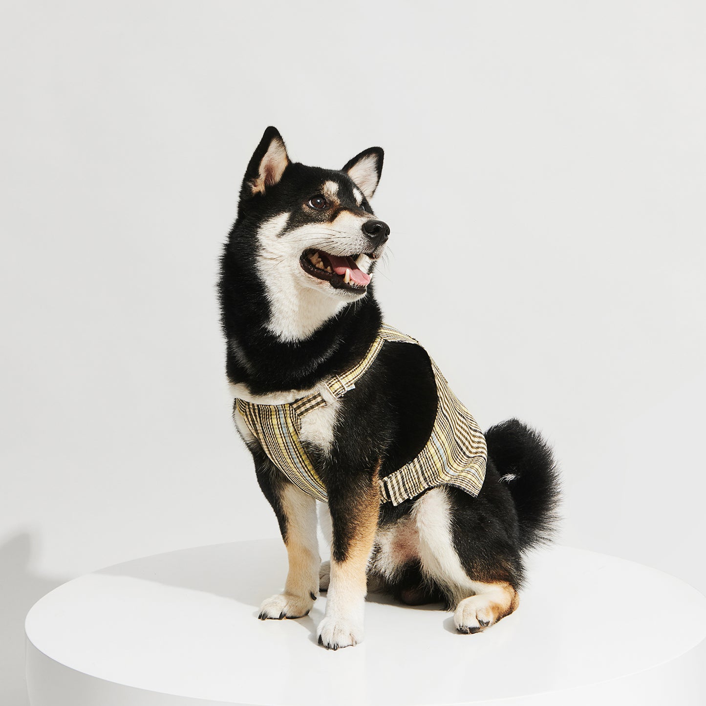 R³ Plaid Short Sling