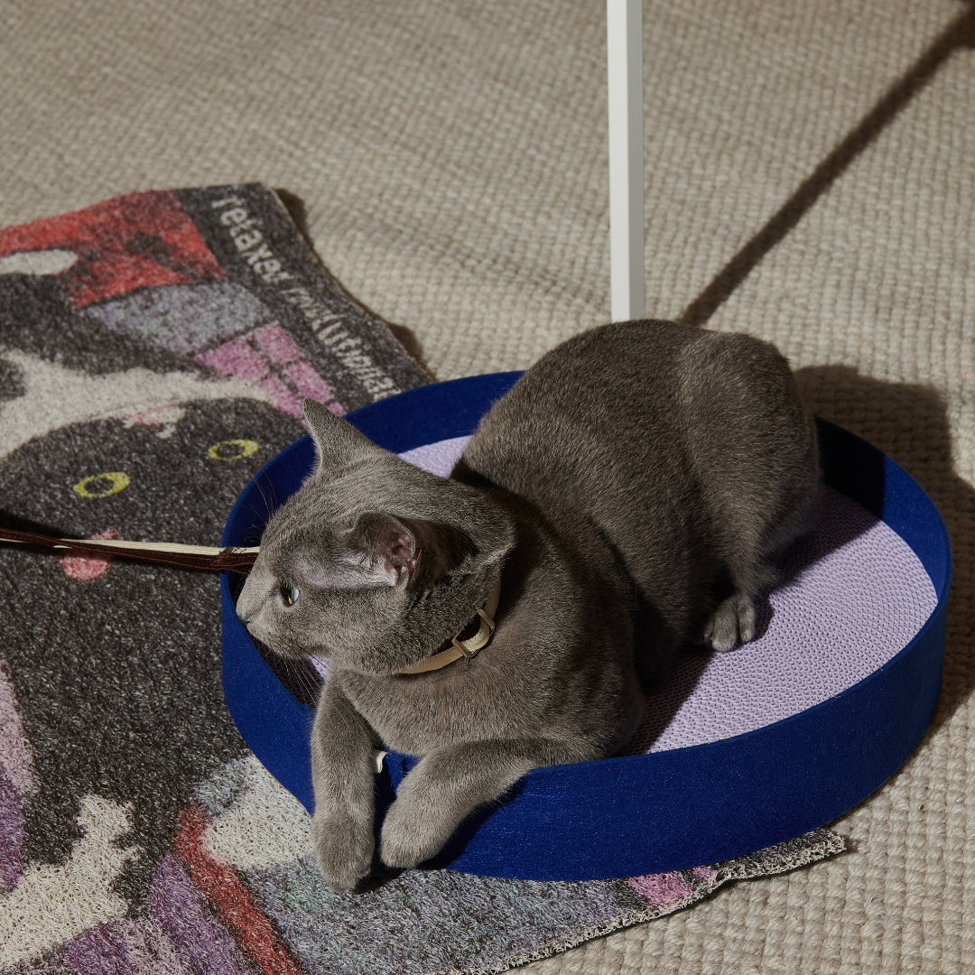 Colorful Round Scratcher