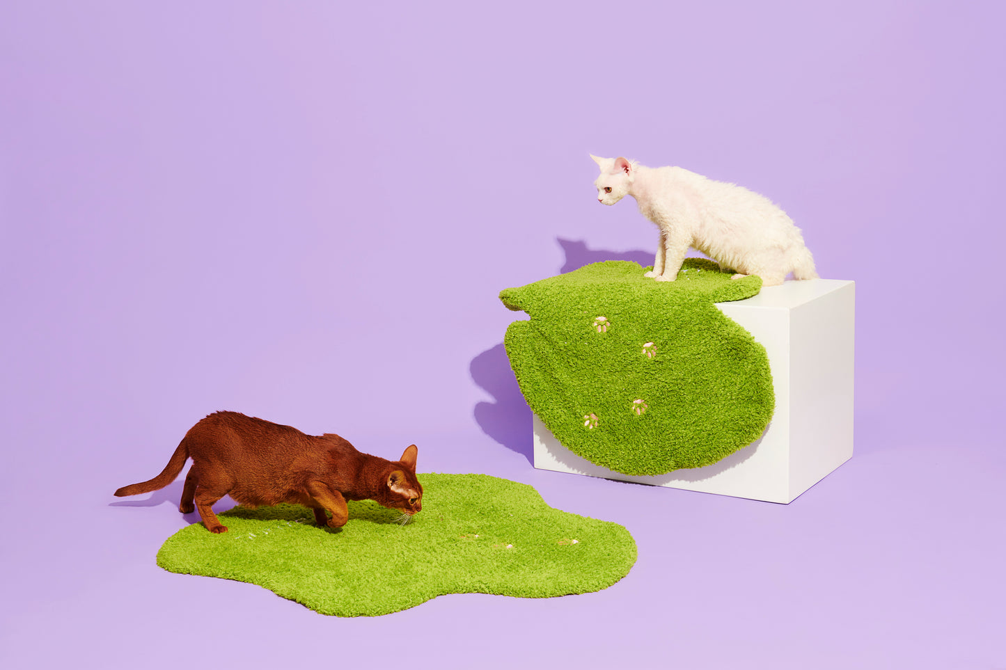 Irregular Shaped Grassland Rug