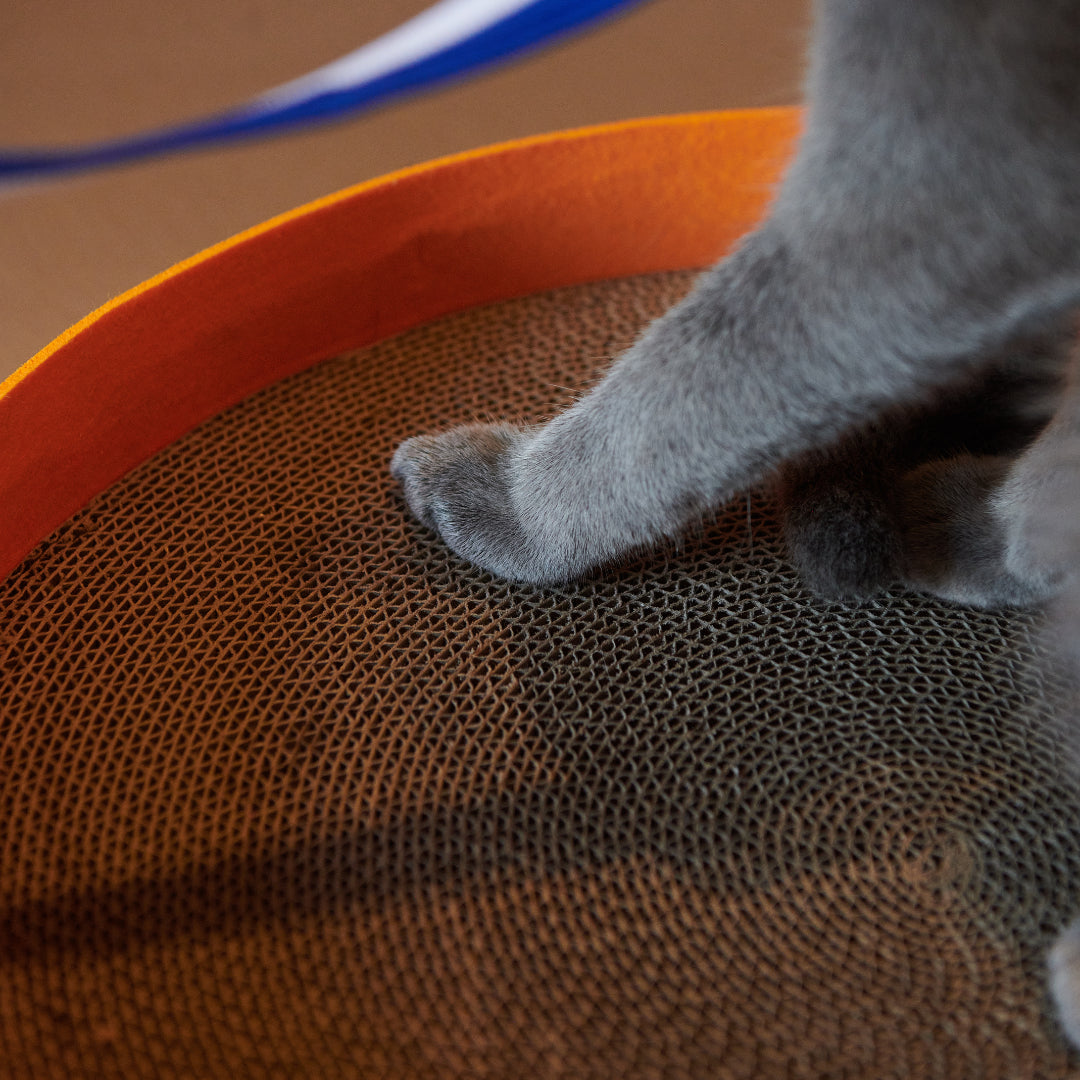 Colorful Round Scratcher