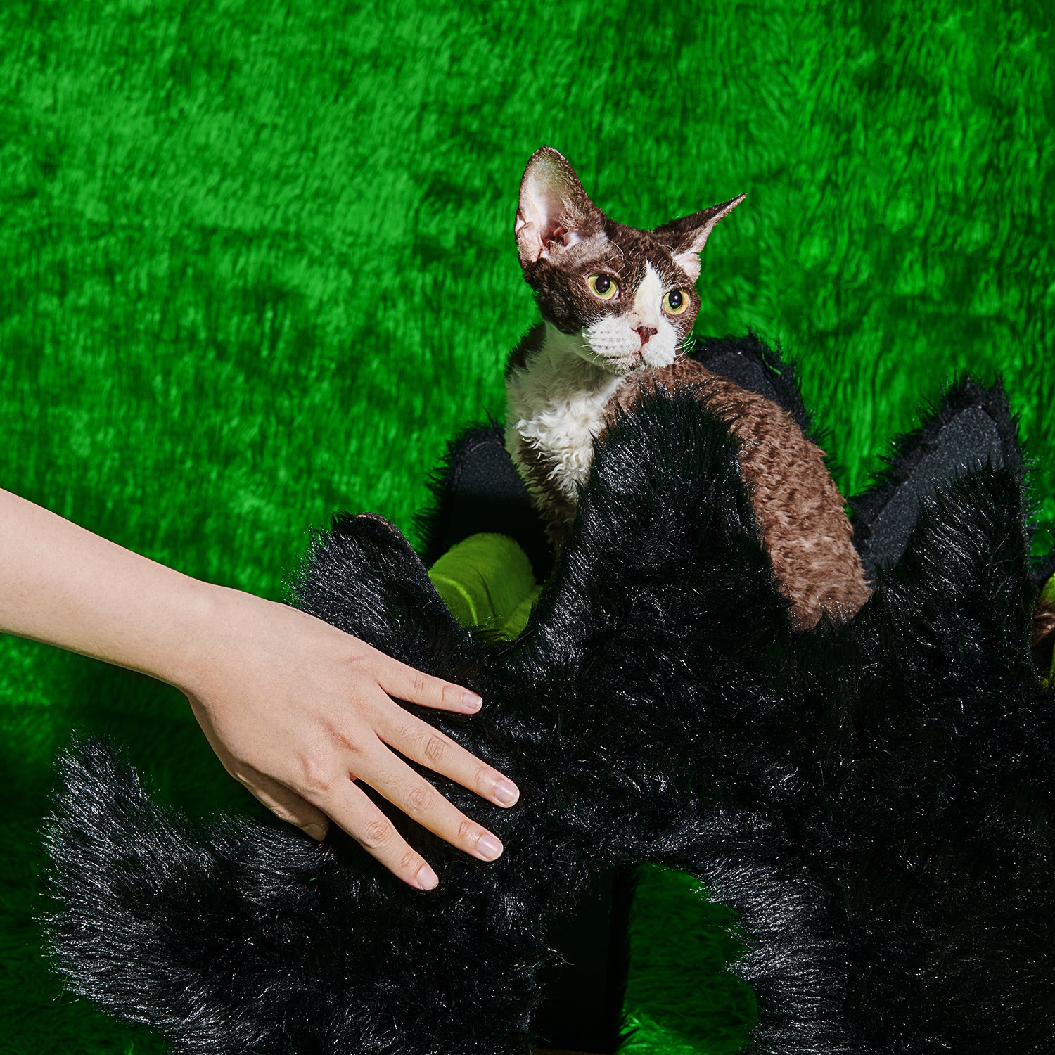 Boom Boom Cat Fluffy Night Haven - Purrre