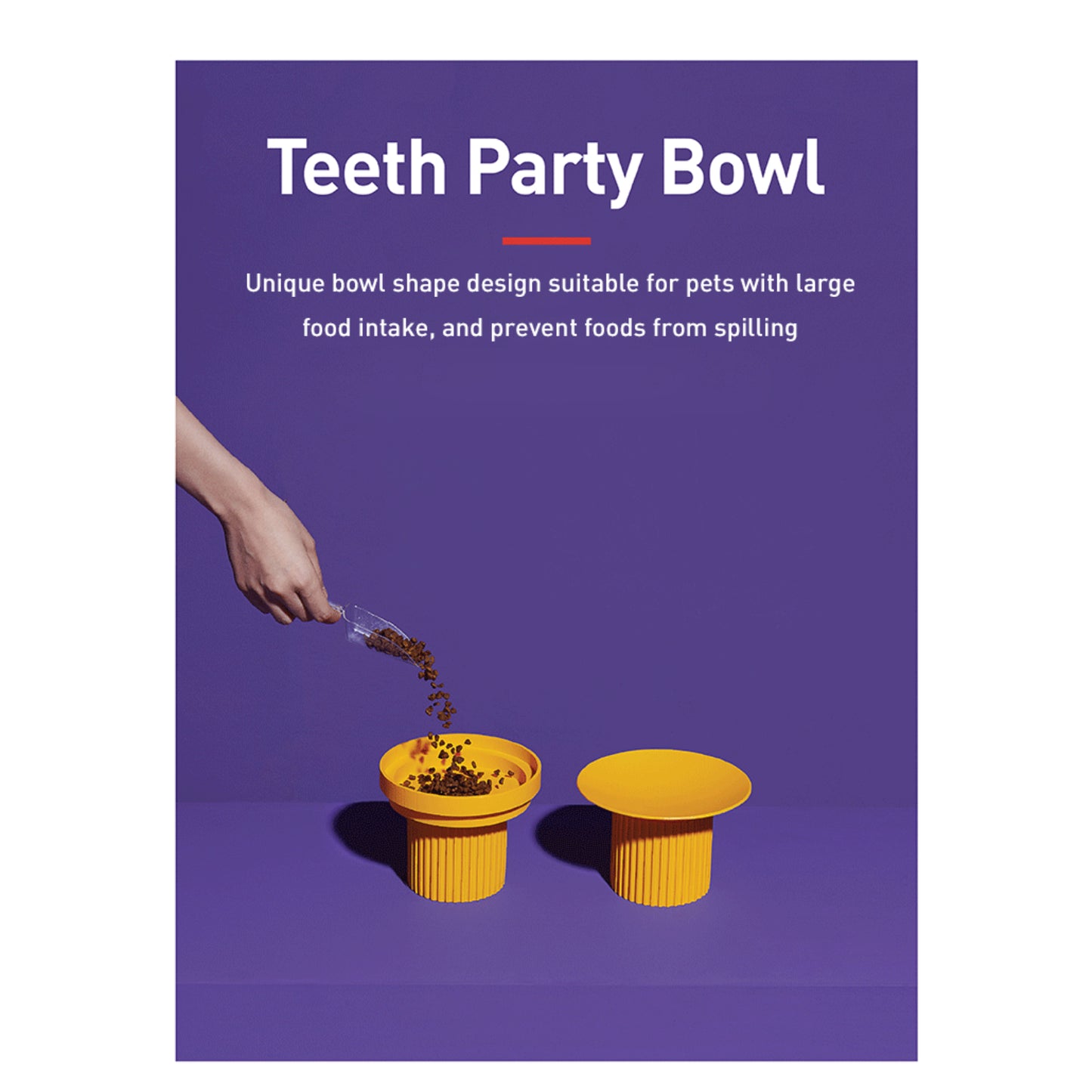 Teeth Party Elevated Feeders