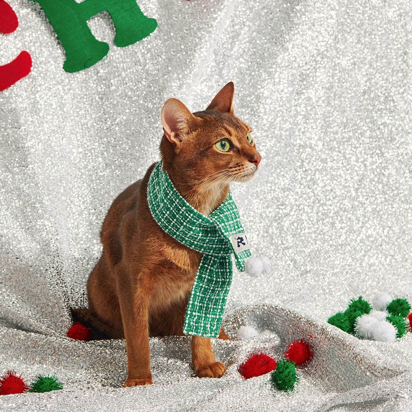 Separable Pet Hooded Scarf | Hat Scarf