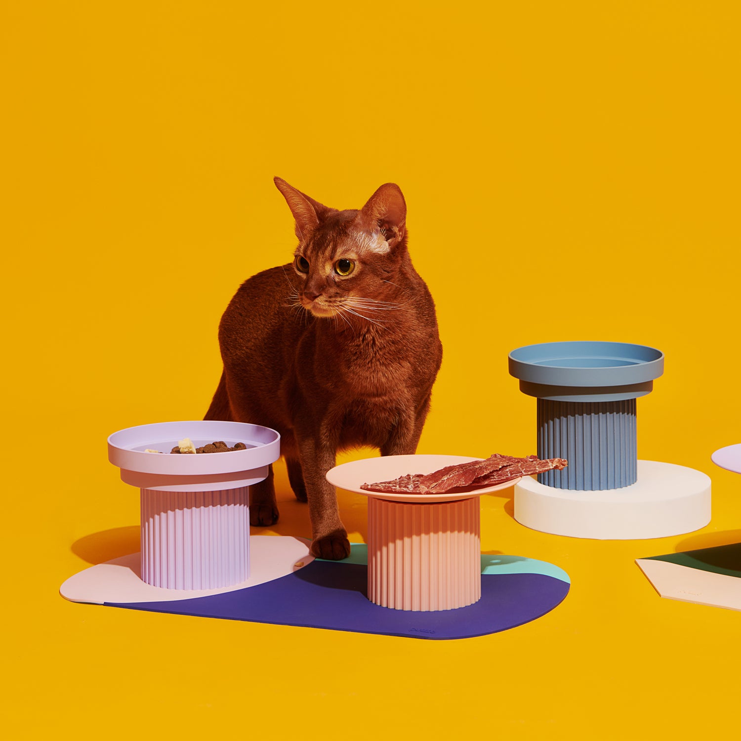 Pet Food Bowl - Teeth Party Bowl and Plates