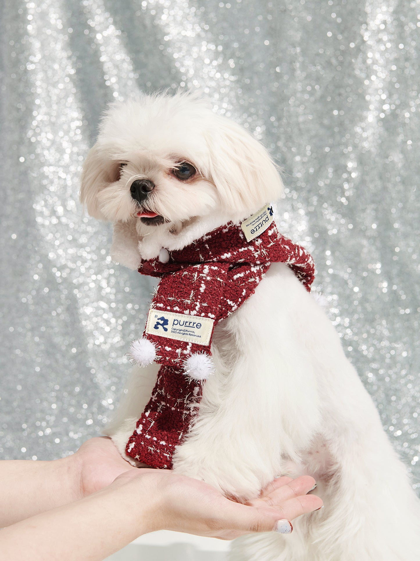 Separable Pet Hooded Scarf | Hat Scarf