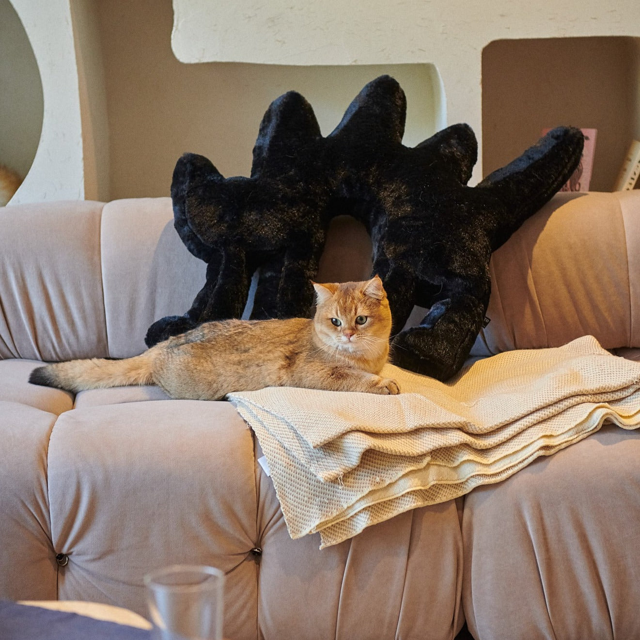 HOLD ME! BOOM BOOM CAT Fluffy Cat Pillow