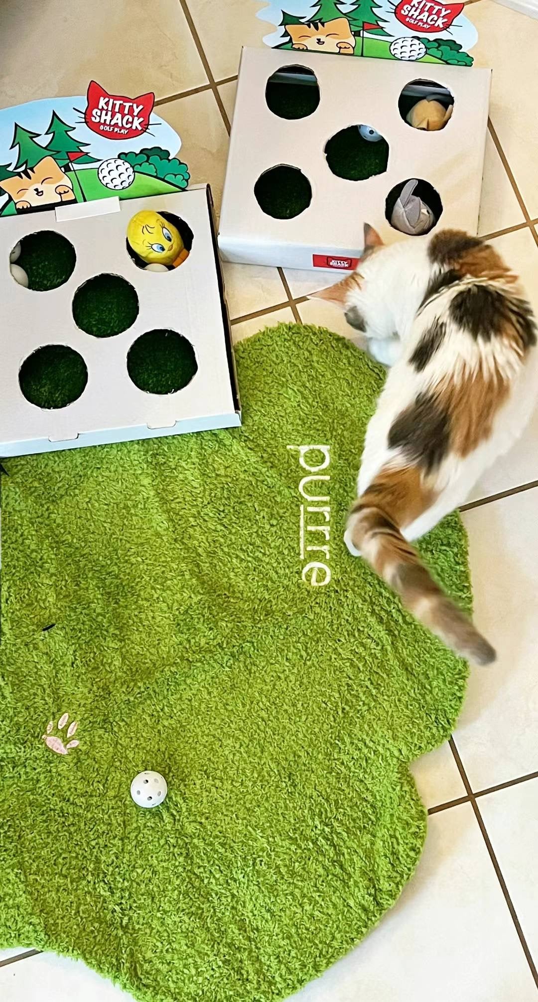 Irregular Shaped Grassland Rug