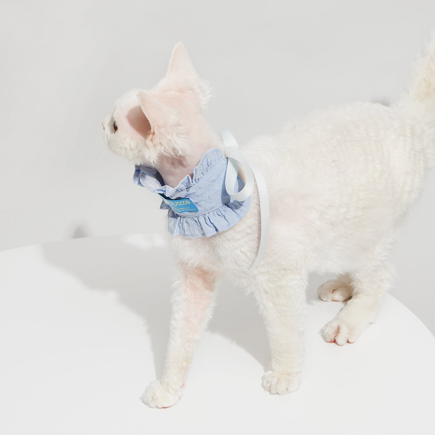 R³ Ruffle Short Cut Out