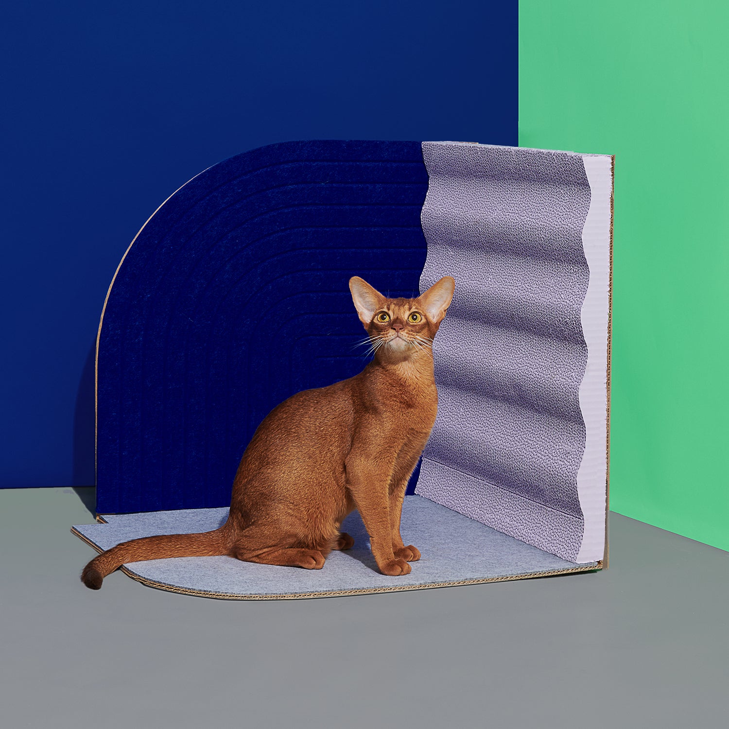 3-Dimentional Corner Cat Scratcher-Purrre