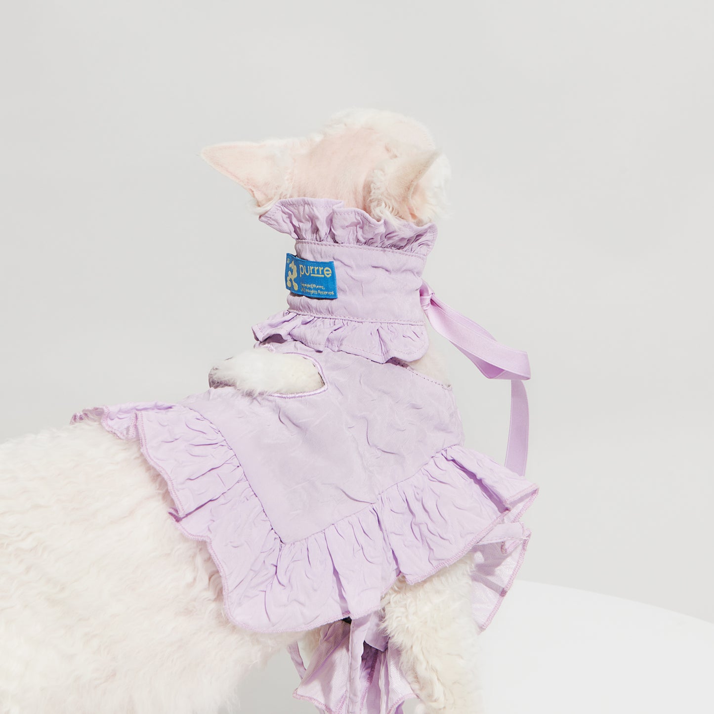 R³ Ruffle Short Cut Out