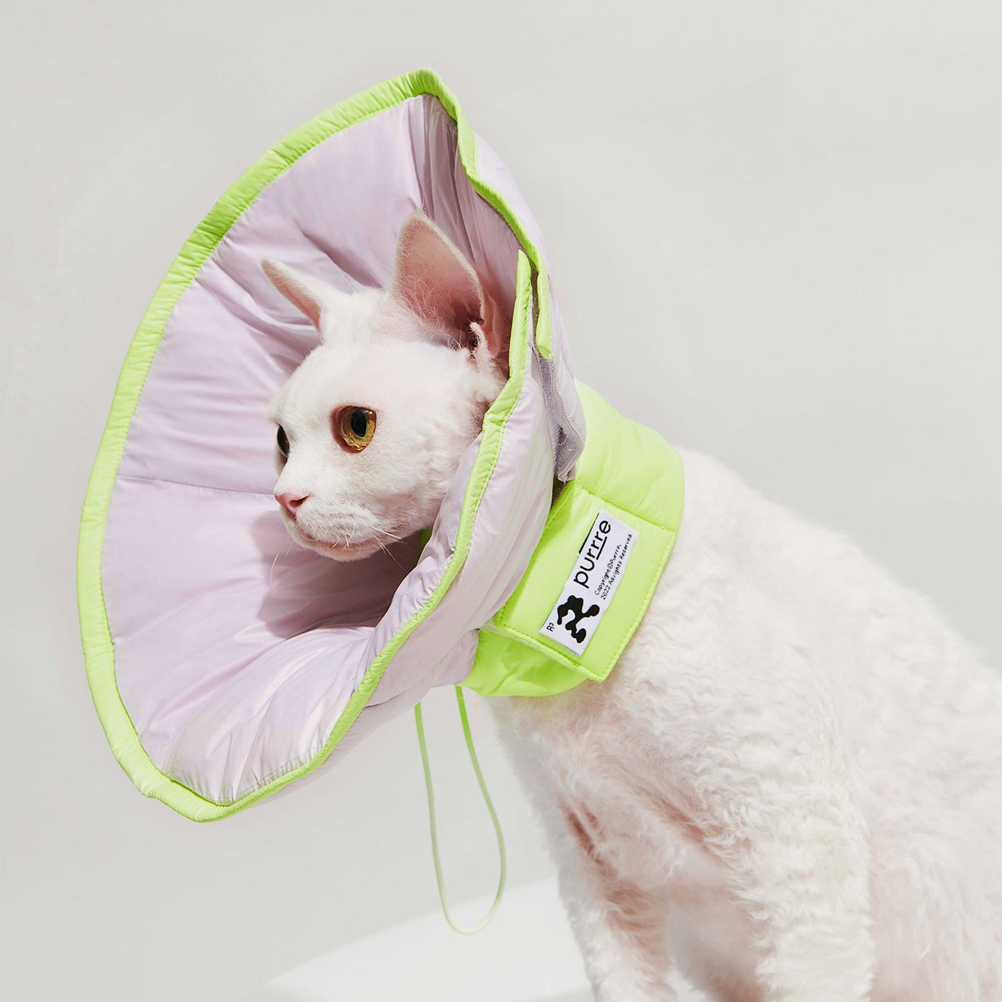 R³ Elizabethan Collar