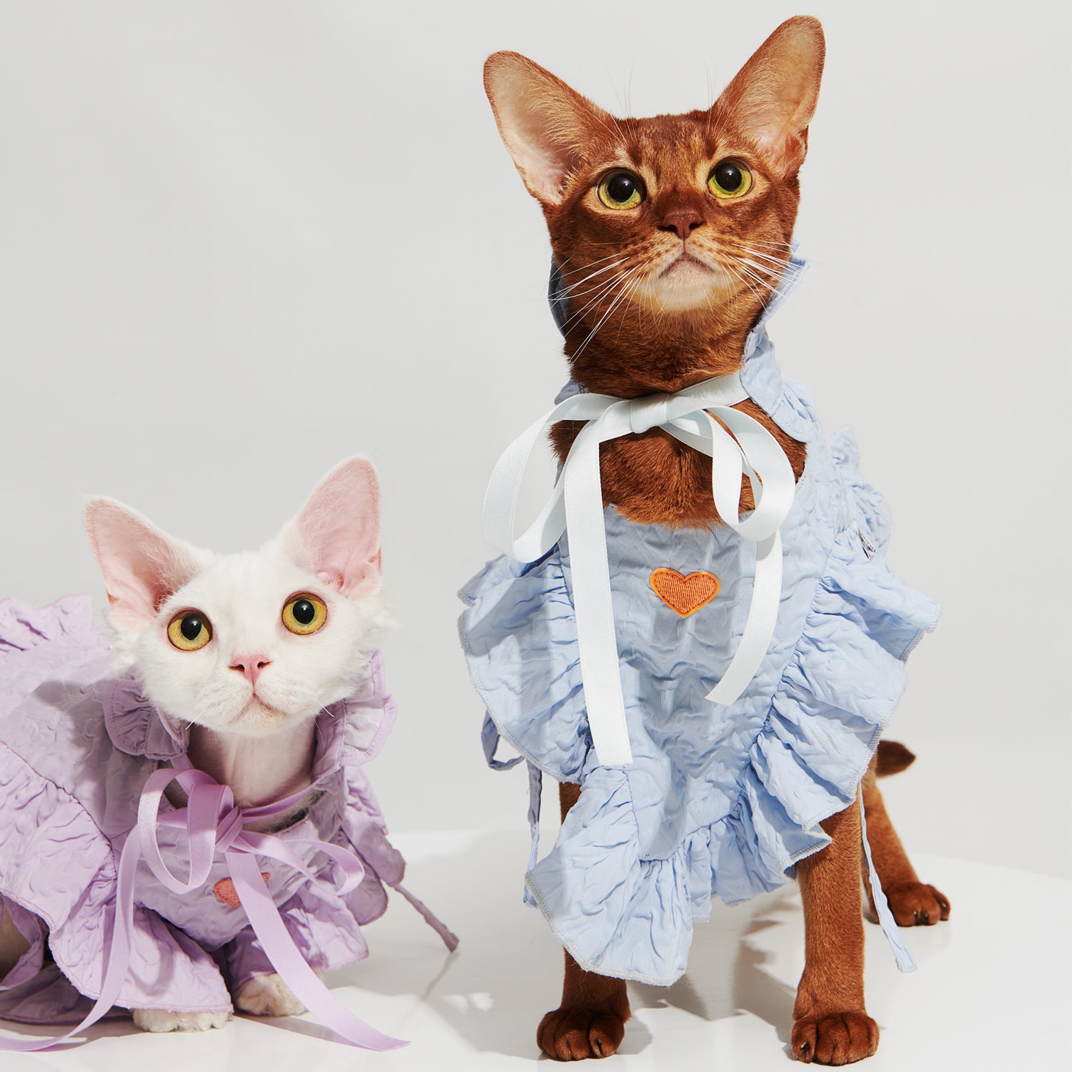ruffle short cut out - Purrre ruffle short cut out - Purrre
