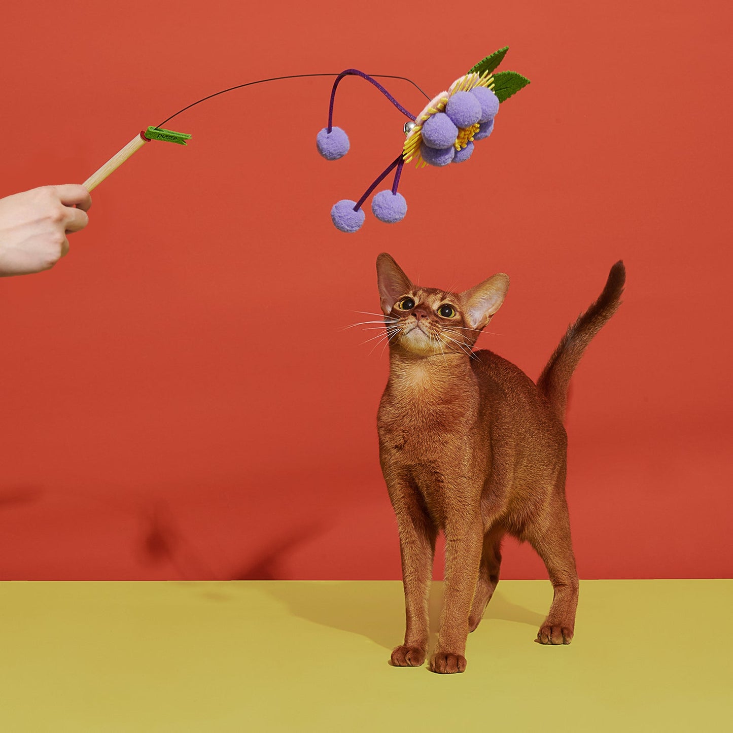 Blooming Cat Teaser Toy - Stylish & Fun Play | Purrre.ca
