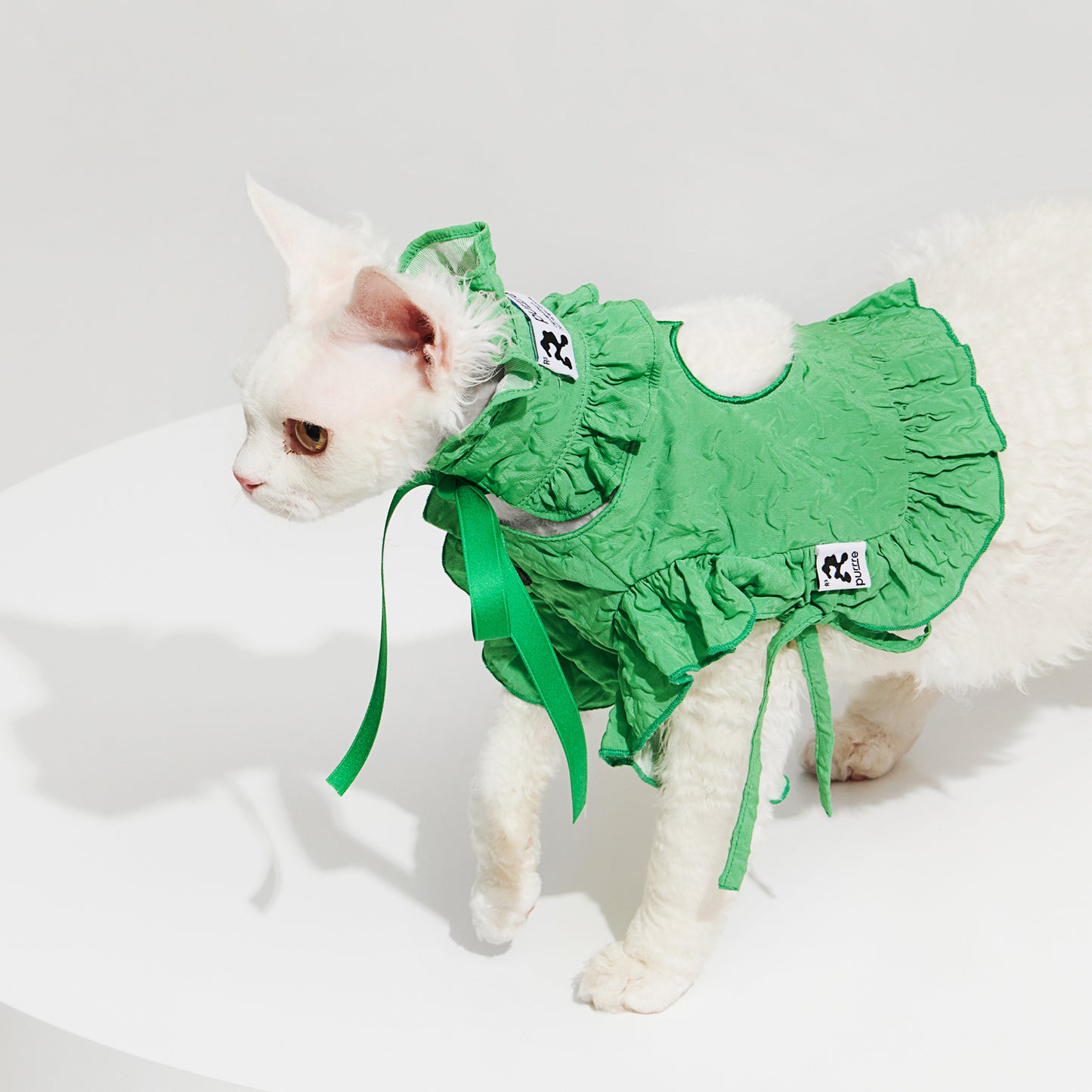 R³ Ruffle Short Cut Out