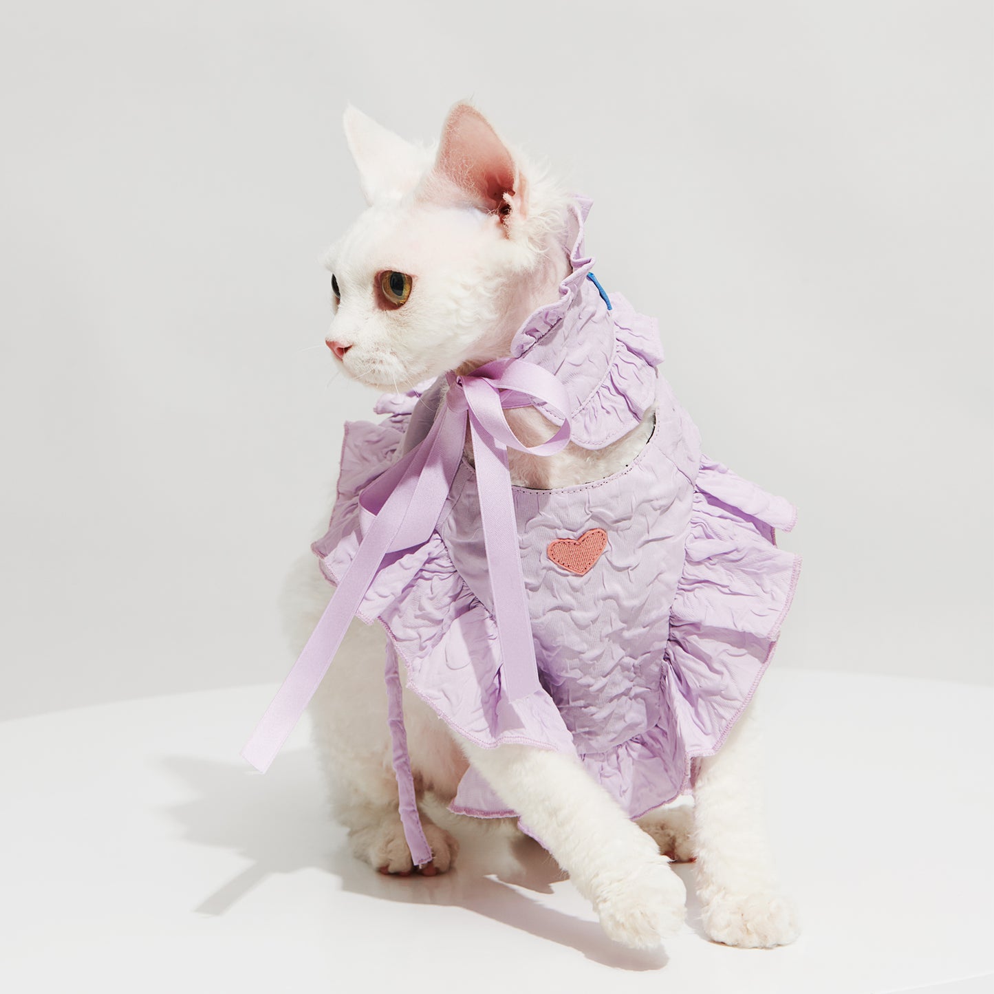 R³ Ruffle Short Cut Out