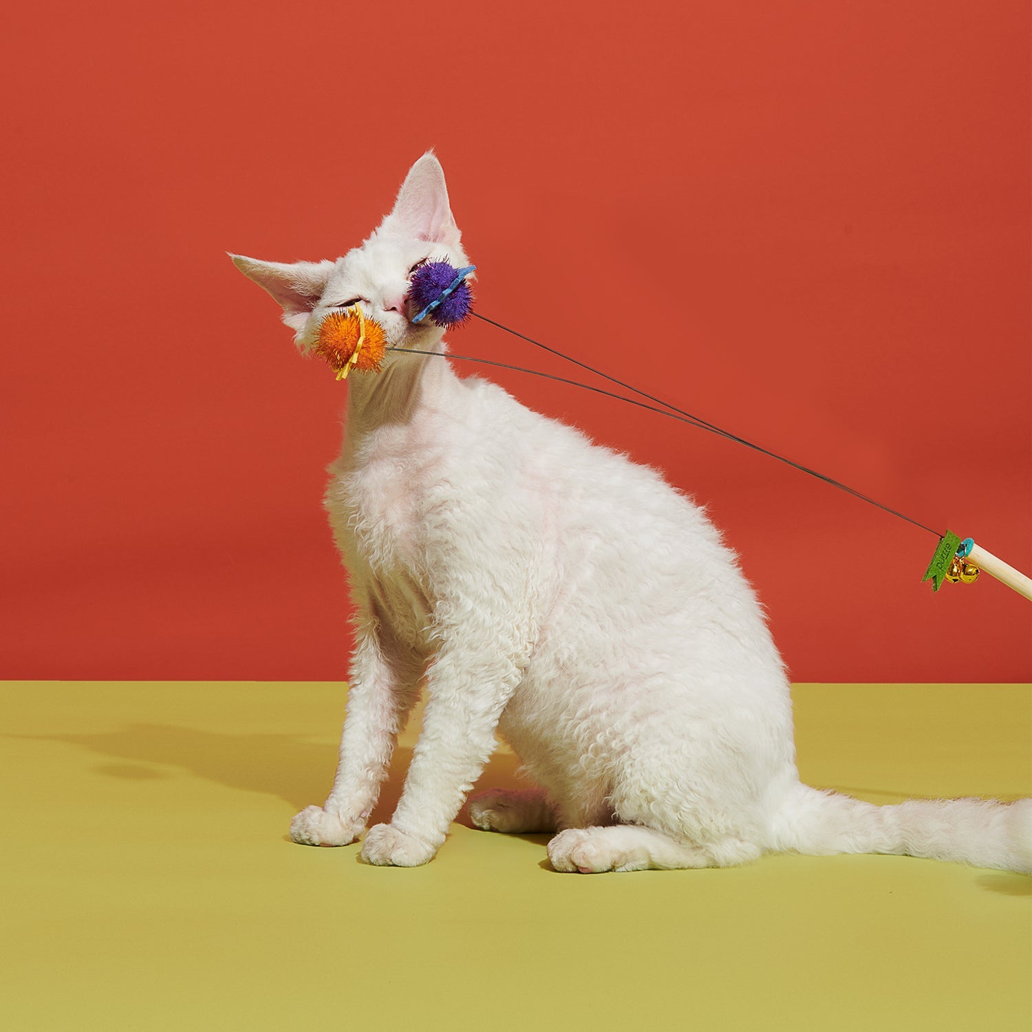 Blooming Cat Teaser Toy - Stylish & Fun Play | Purrre.ca