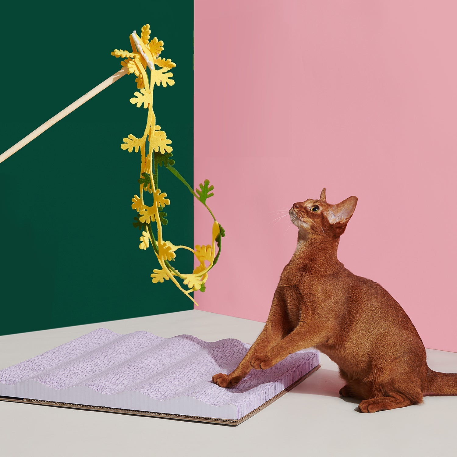 Blooming Cat Teaser Toy - Stylish & Fun Play | Purrre.ca