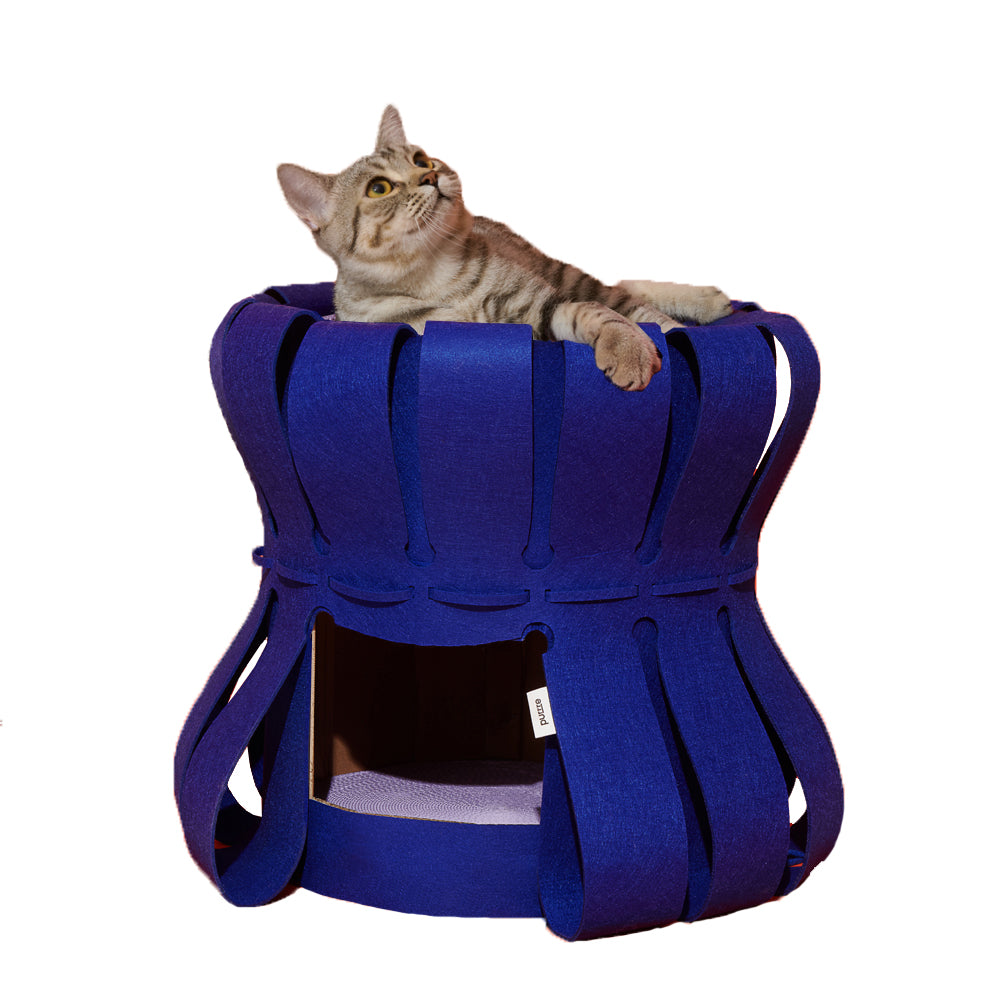 Fortress Traveller