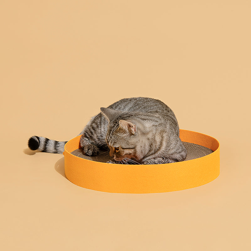 Colorful Round Scratcher