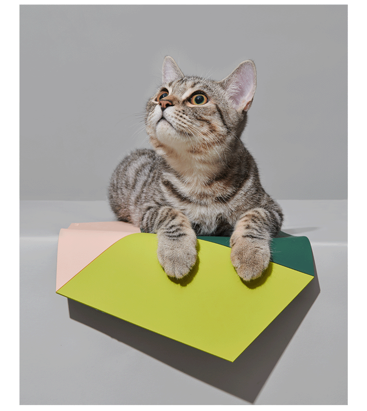 Food Mat'e' - Purrre