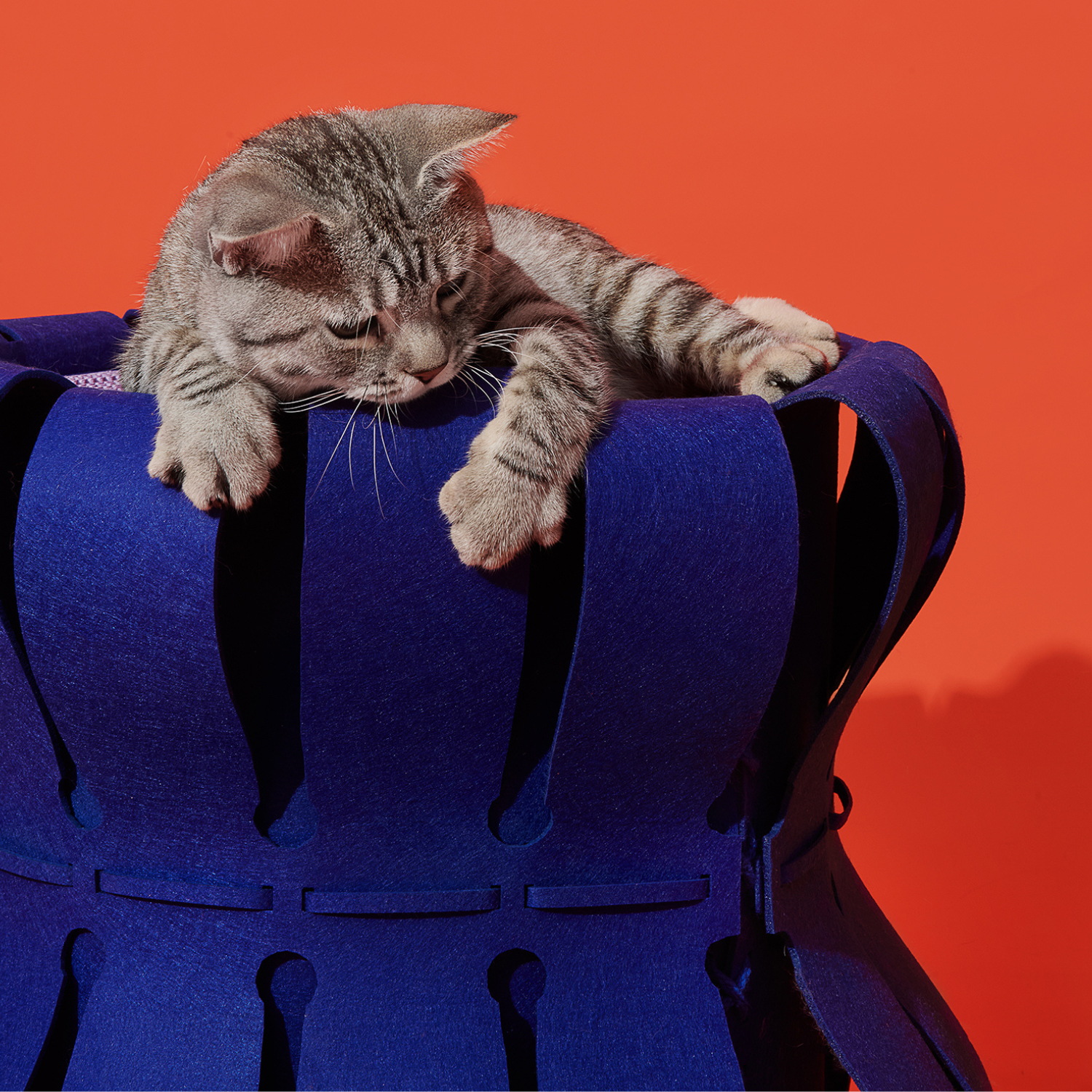 nap collection - – Purrre