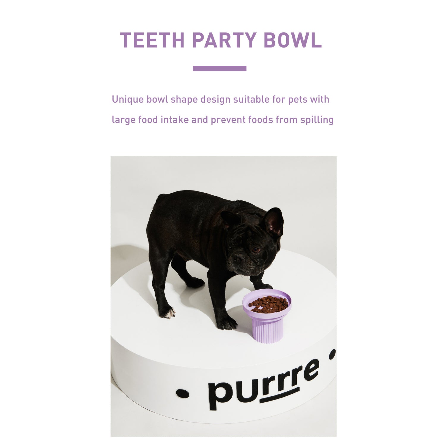 Pet Supplies - Teeth Party Elevated Feeder (Top Replacement Only)