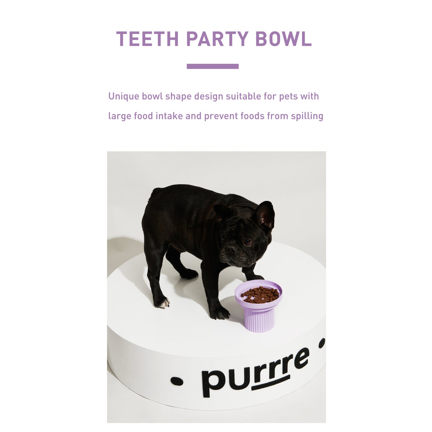 Teeth Party Elevated Feeders