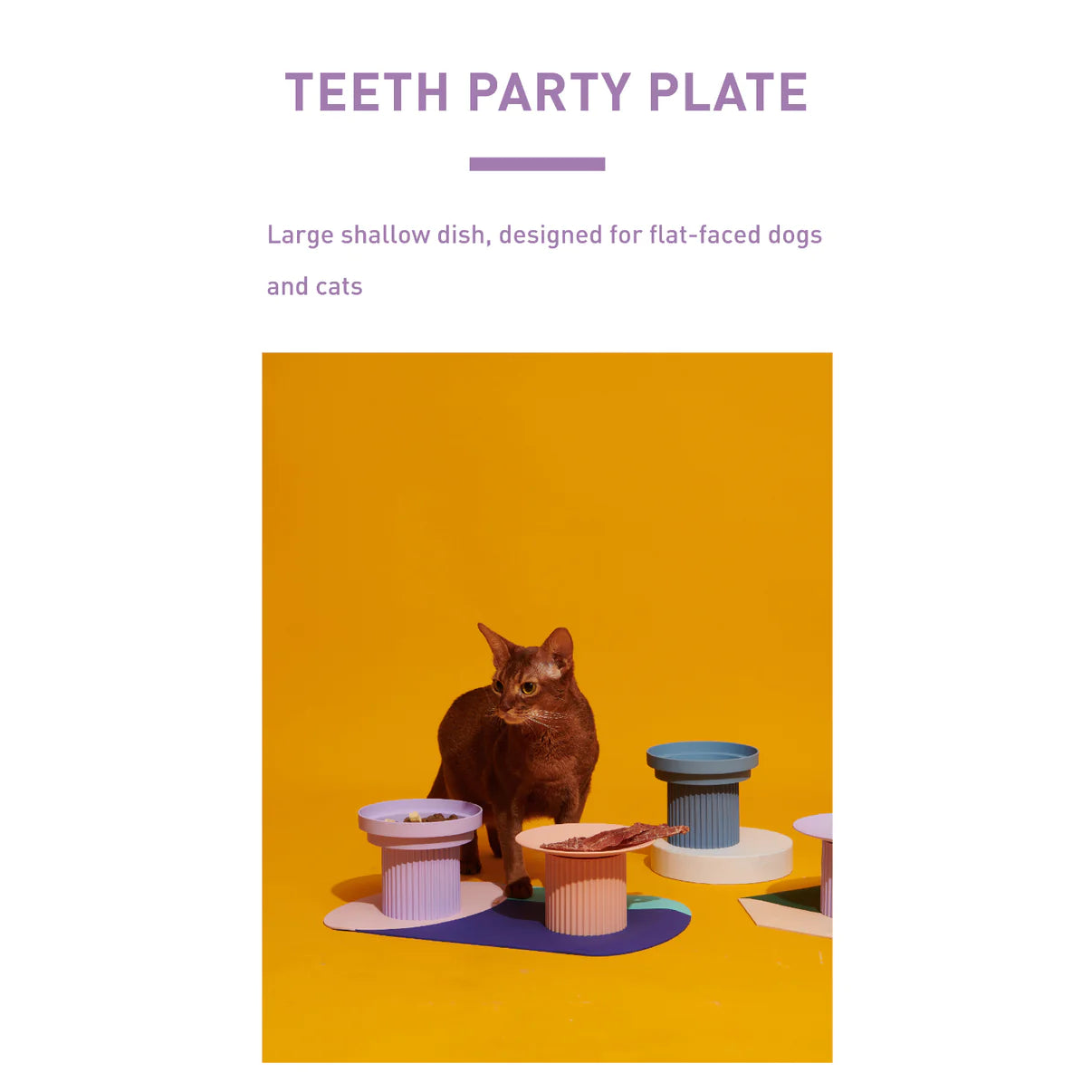 Teeth Party Set