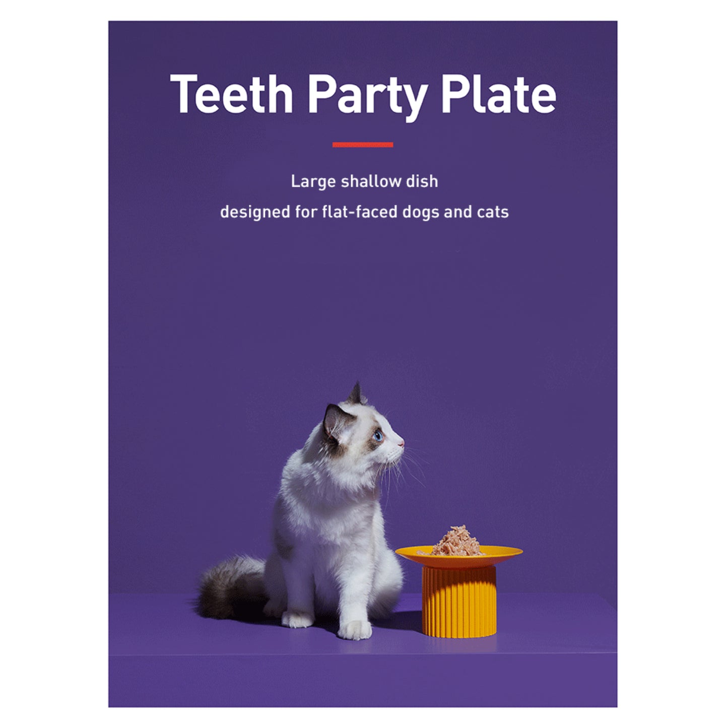 Teeth Party Elevated Feeders