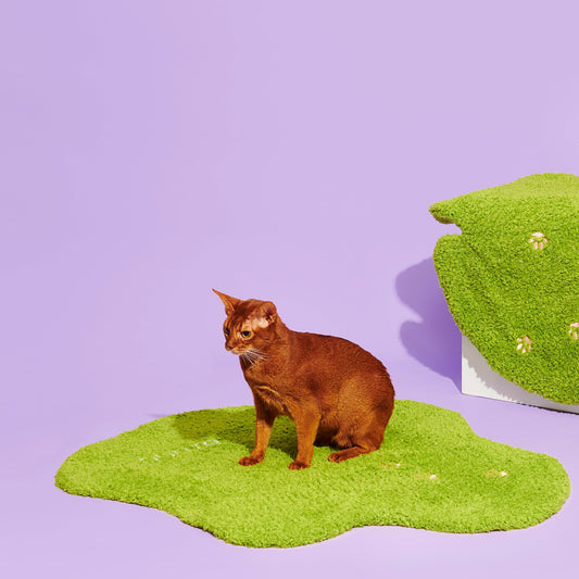 Irregular Shaped Grassland Rug