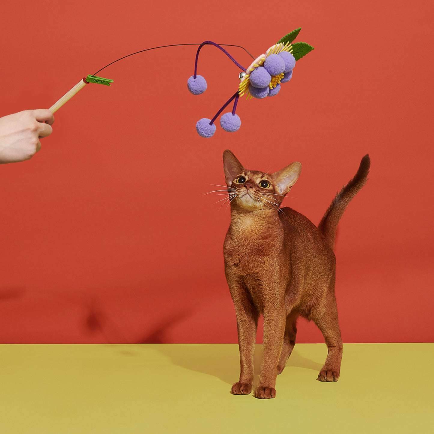 Blooming Cat Teaser Wand | Cat Toy