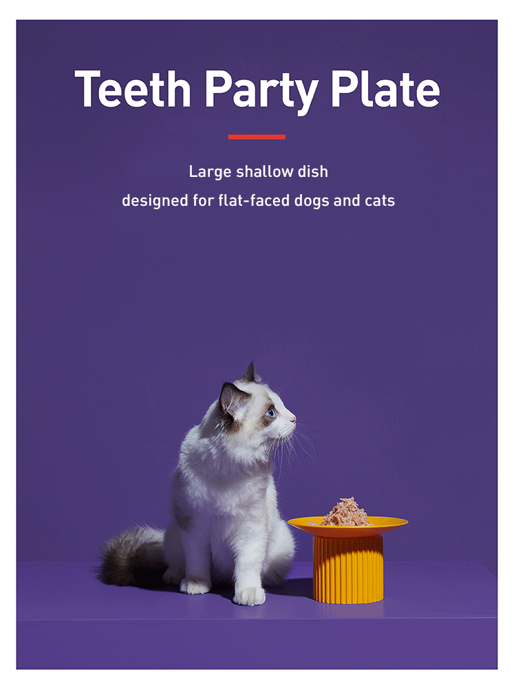 Teeth Party Plate - Coral Pink - Purrre